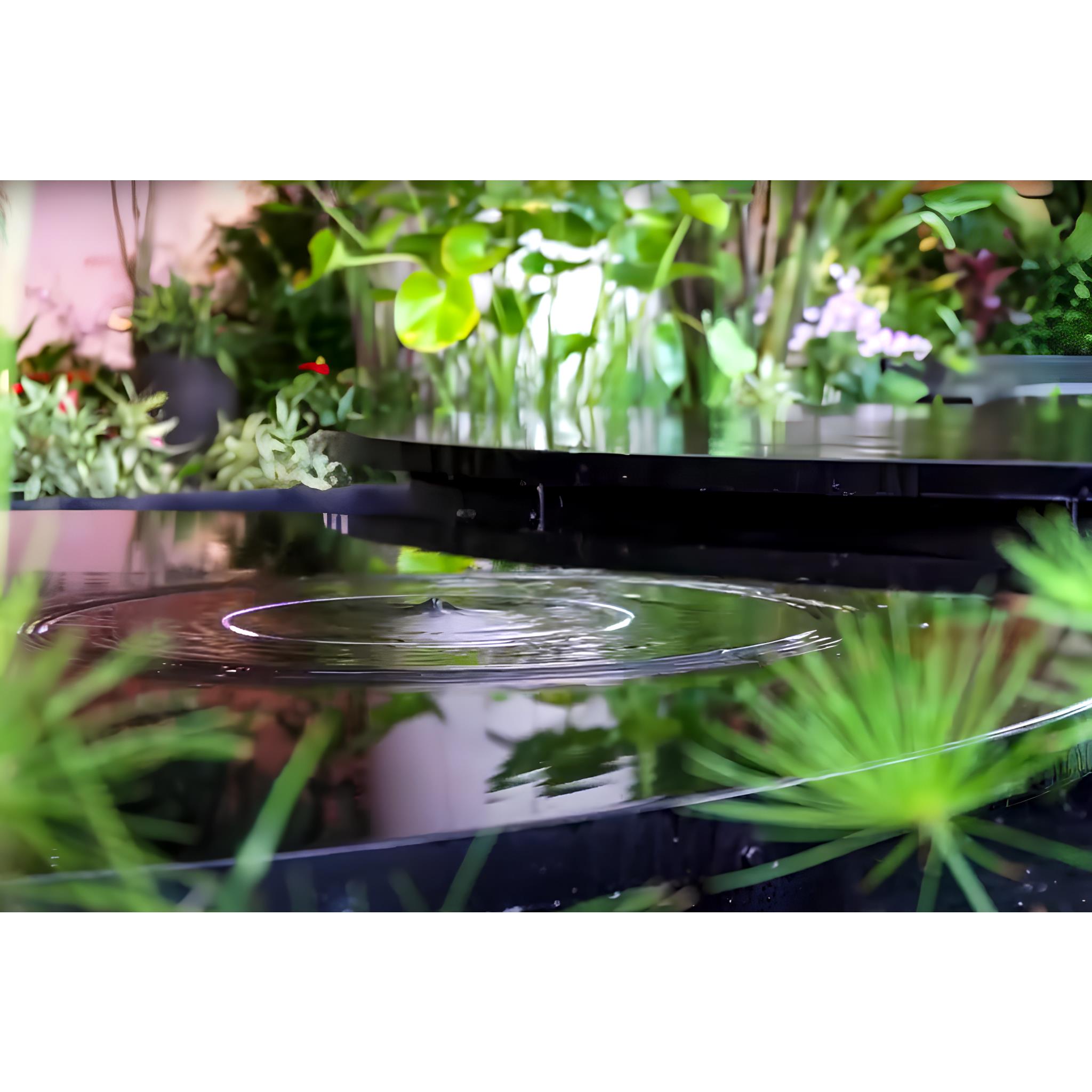 Aquatronic